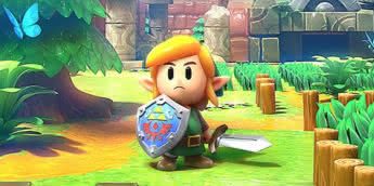 Zelda