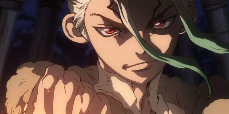 Dr. Stone
