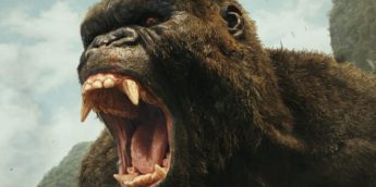 Kong