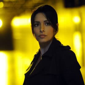 Sarah Shahi