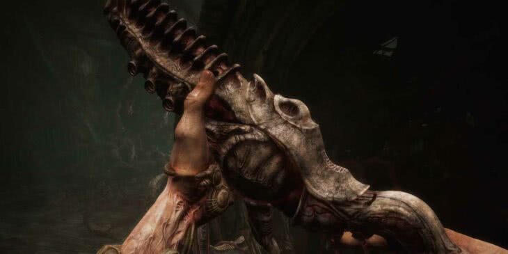 Scorn