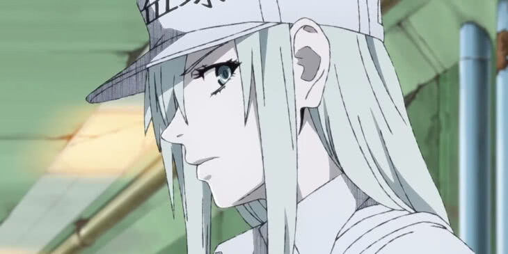 Cells at Work