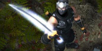 Ninja Gaiden