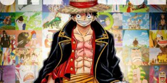 Visual de One Piece