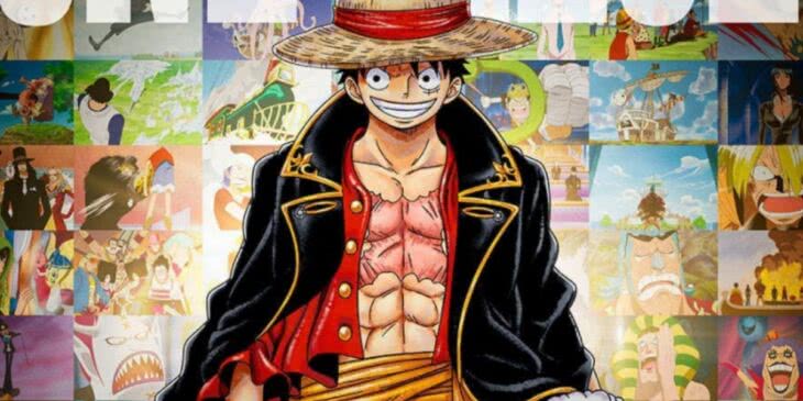 Visual de One Piece