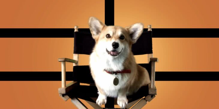 Ein em Cowboy Bebop