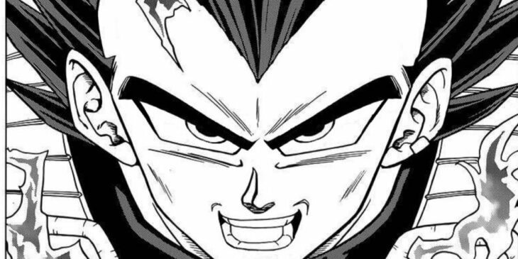 Obstinação Superior de Vegeta