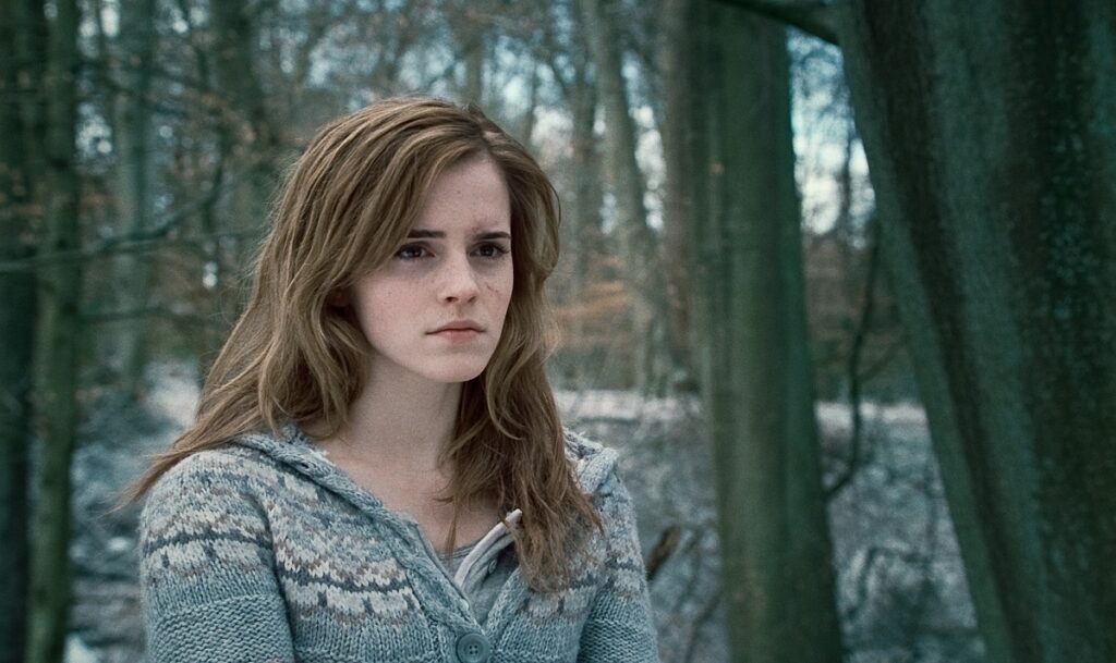 Hermione em Harry Potter