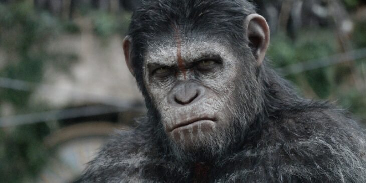 Filme de Planeta dos Macacos