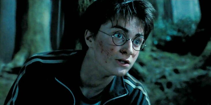 Diretor de Harry Potter