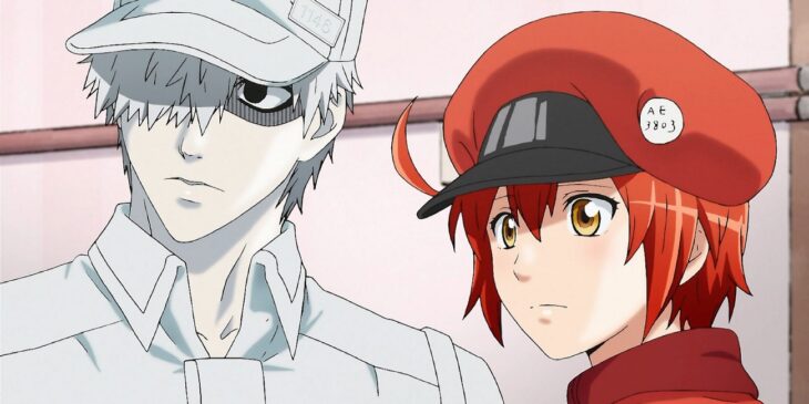 Mangá de Cells at Work