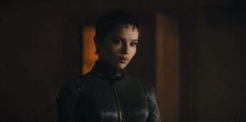 Traje da Mulher-Gato Batman