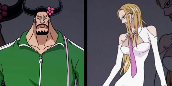 Visuais do One Piece RED