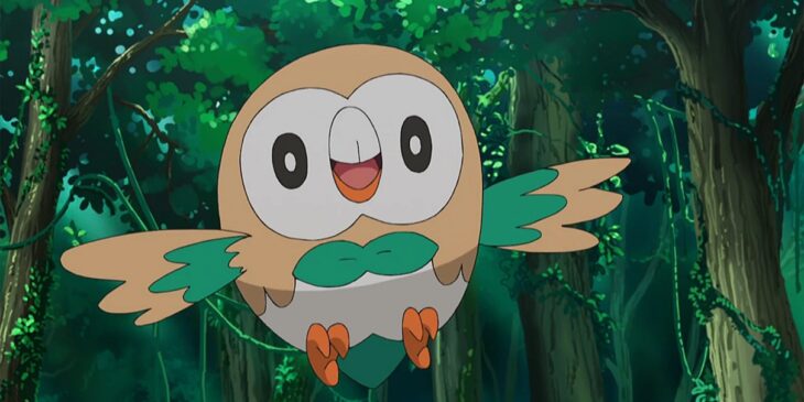 Pokémon Rowlet