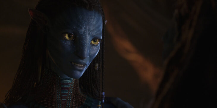 Diretor de Avatar