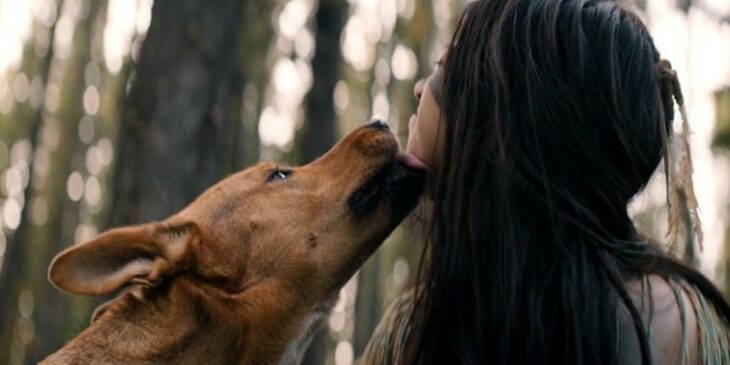 Cachorro Sarii O Predador A Caçada