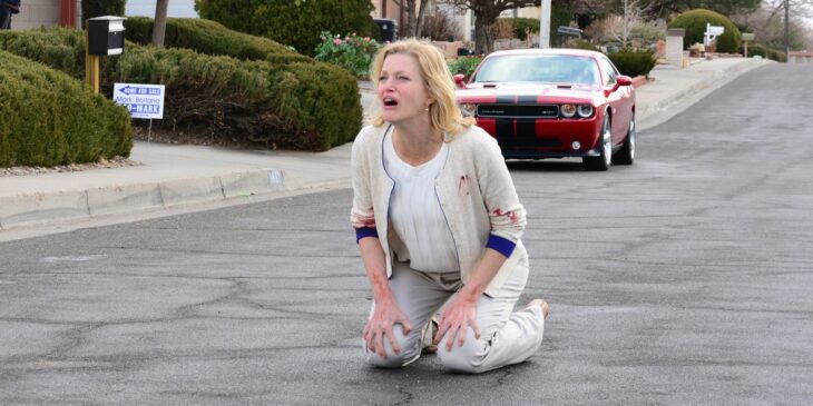 Skyler de Breaking Bad