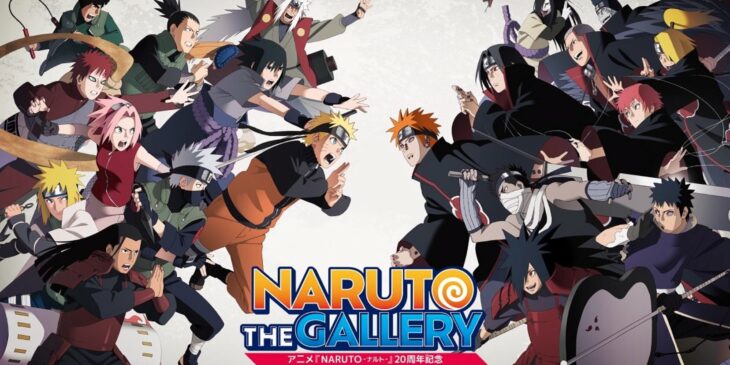 Naruto: The Gallery