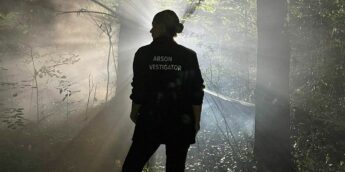 Wolf-Pack-Paramount-Plus-estreia