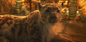 A série His Dark Materials