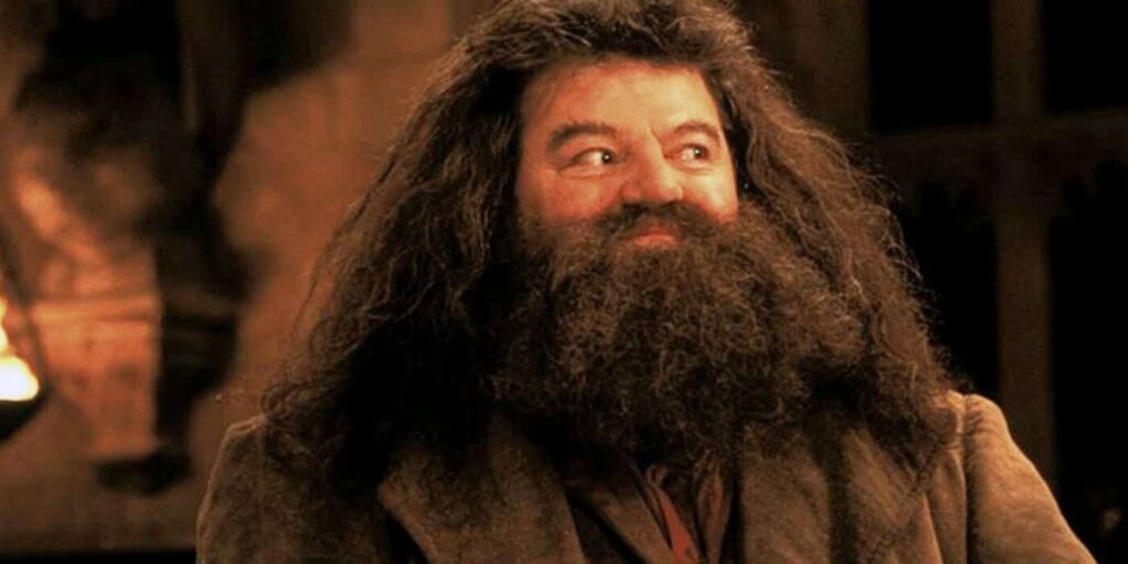 Robbie Coltrane de Harry Potter