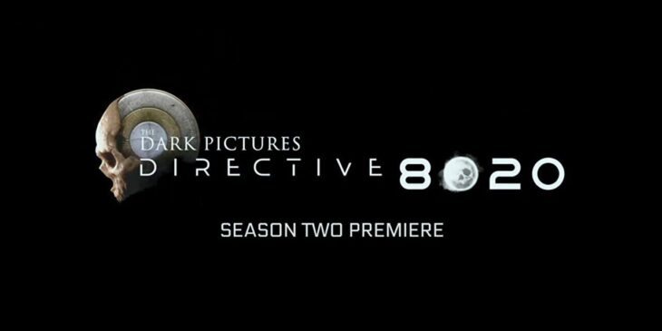 Logo de Directive 8020