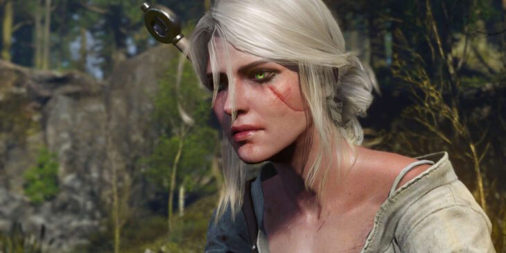 The Witcher 3: Next Gen