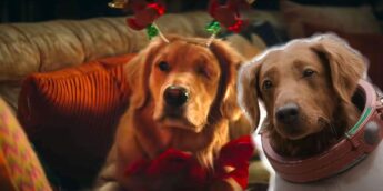 Cosmo e Lucky