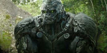 Optimus de Transformers