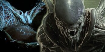 Alien Xenomorfo