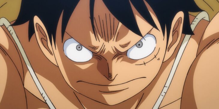 Pôster do One Piece
