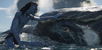 Avatar 2 no Brasil