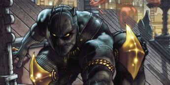 Pantera Negra Homem sem Medo