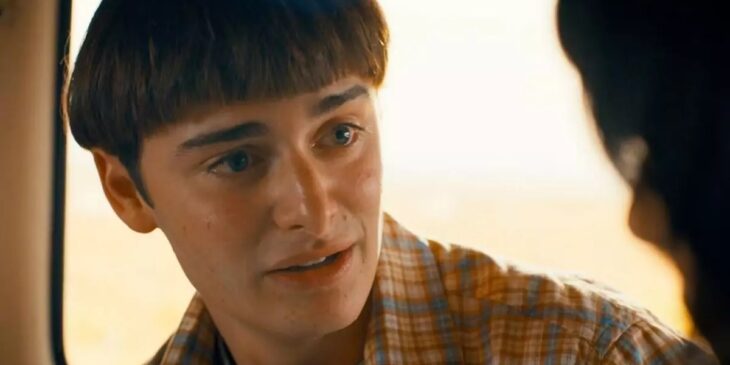 Noah-Schnapp-Stranger-Things-gay