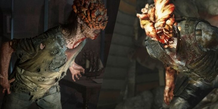 Estaladores da Last of Us