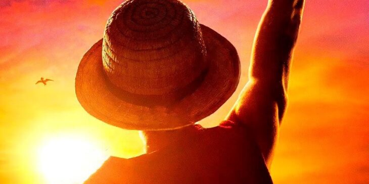 Visual do One Piece