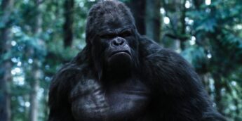 Gorila Grodd da série The Flash