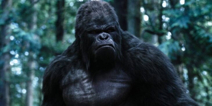 Gorila Grodd da série The Flash
