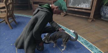 Gato em Hogwarts Legacy