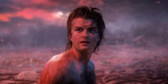 Steve de Stranger Things