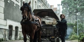 Daryl Dixon