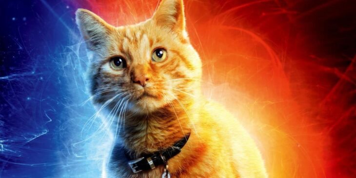 Goose de As Marvels