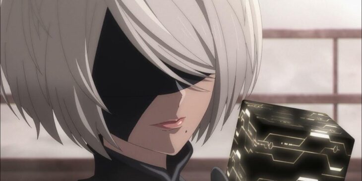 Temporada de NieR