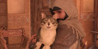 Gato Assassin's Creed