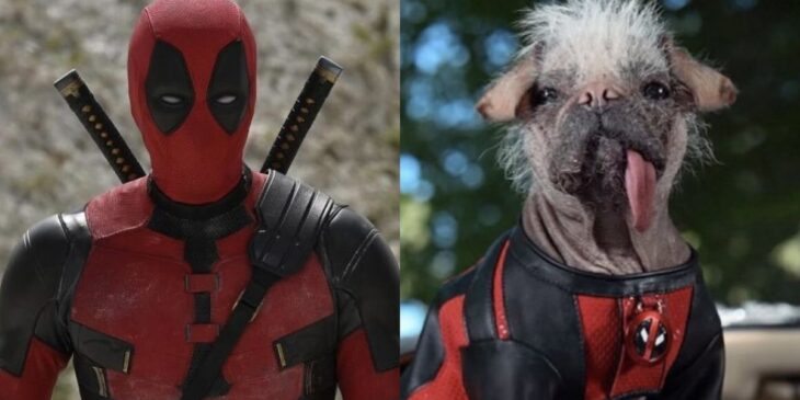 Deadpool e Dogpool