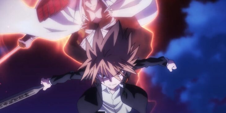 Data de Shaman King Flowers