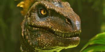 Ark no Xbox