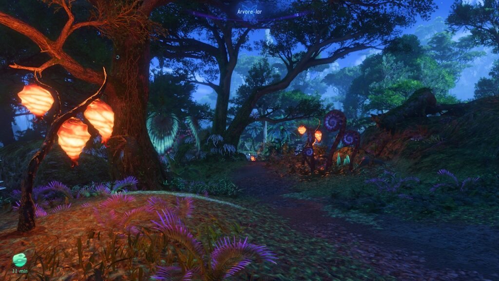 Pandora à noite
