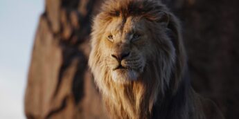 Mufasa de O Rei Leão