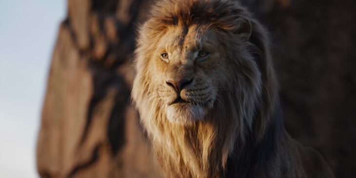 Mufasa de O Rei Leão